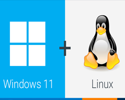 Windows / Linux Re-installations